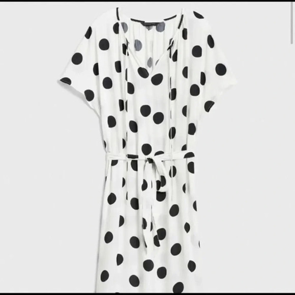 - Banana Republic factory polka dot dress - Picture 5 of 8